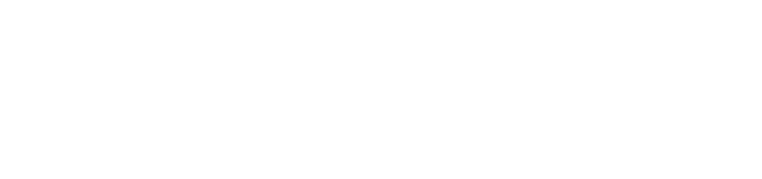 Lone Star Panel Systems